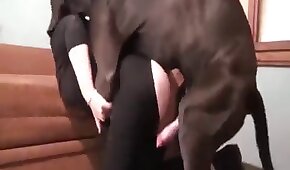 1900bet8.com - sexo de cachorro,sexo foda animal